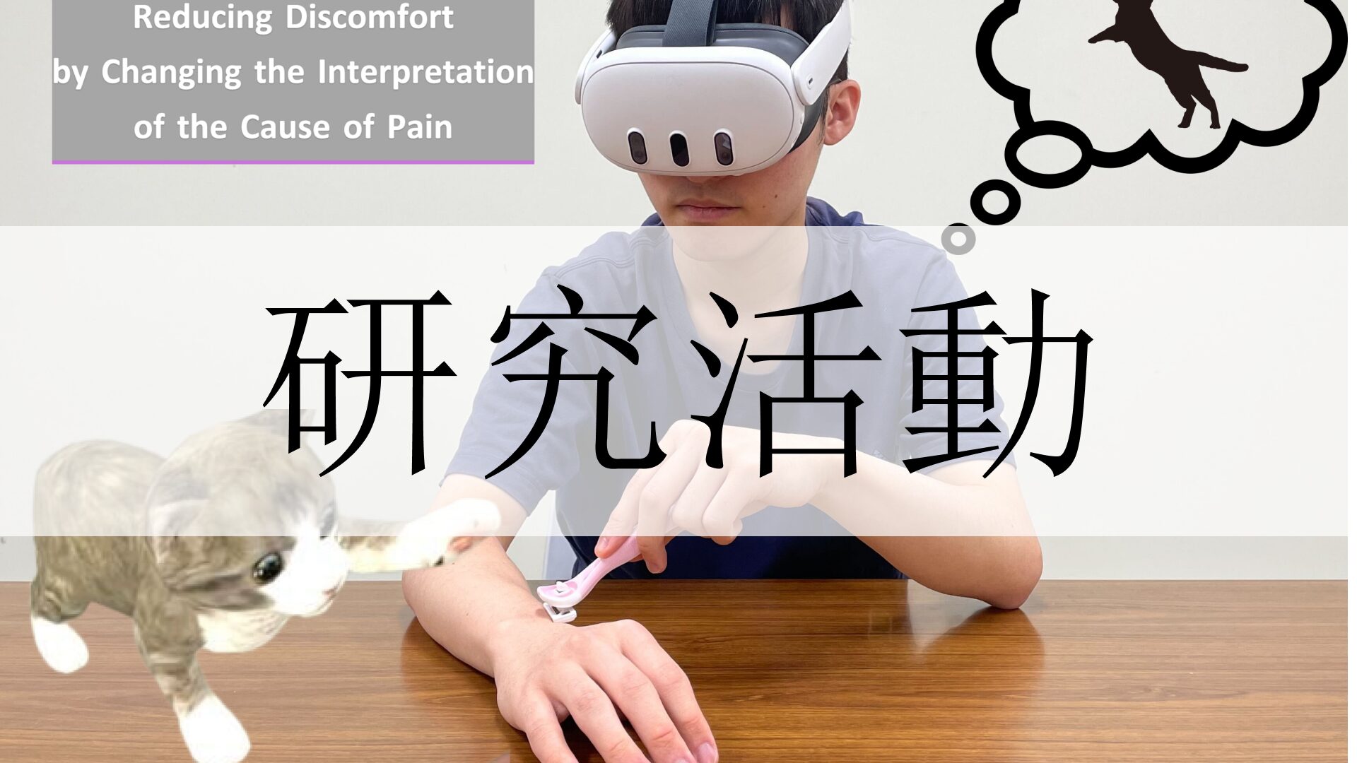 研究活動